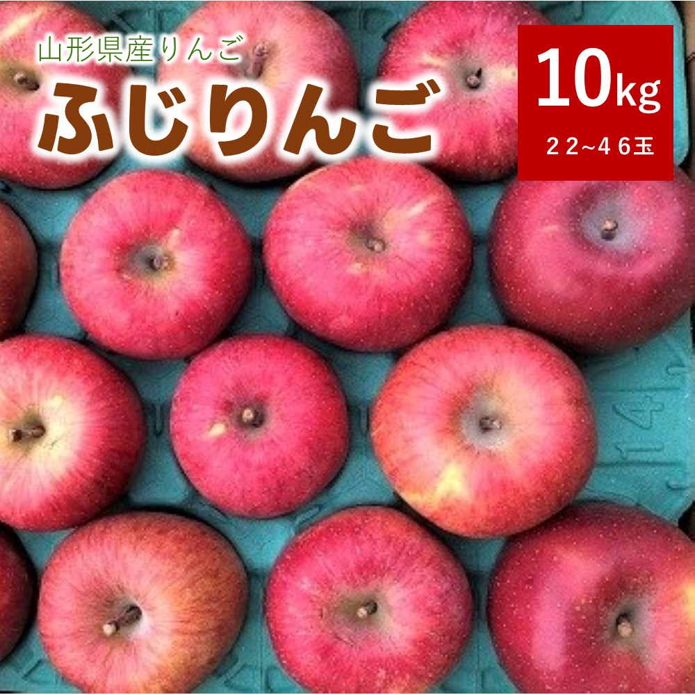 【ふるさと納税】りんご ( ふじりんご ) 10kg 無袋栽培 22～46玉 家庭用 ジュース用 果物 フルーツ お取り寄せ 産地直送 送料無料 山形県 上山市 0007-2503