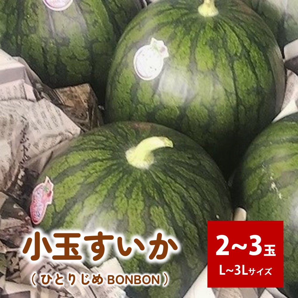 【ふるさと納税】小玉 すいか ( ひとりじめ BONBON ) 2～3玉 L～3L サイズ 山形県 上山市 0011-2503