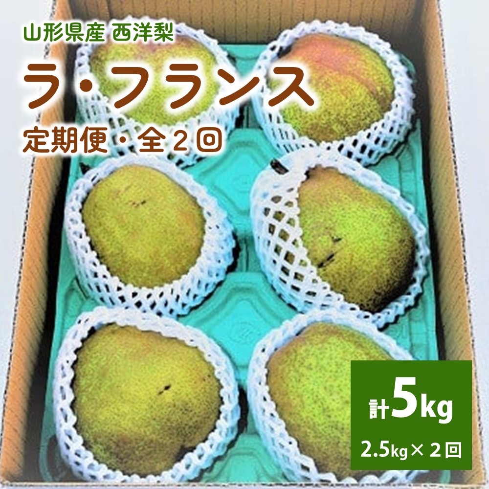 【ふるさと納税】【 定期便 全2回 】 ラ・フランス 2.5kg を 2回 お届け 果物 フルーツ 洋なし お取り寄せ 山形 産地直送 送料無料 山形県 上山市 0012-2512