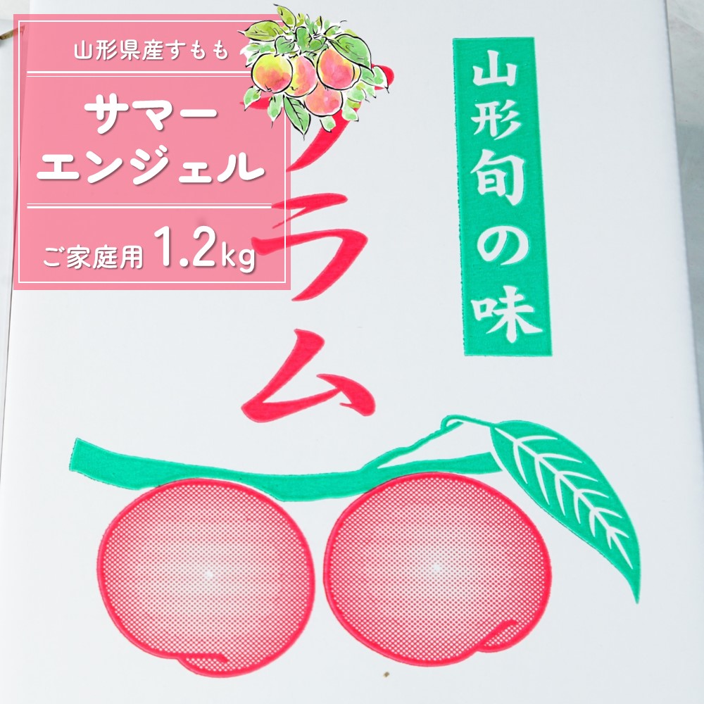 【ふるさと納税】 すもも ( サマーエンジェル ) 1.2kg ご家庭用 果物 フルーツ お取り寄せ 産地直送 送料無料 山形県 上山市 0012-2505