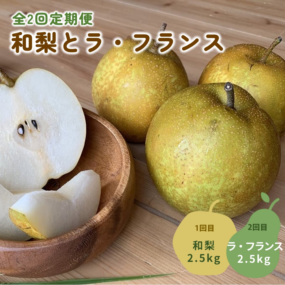 【ふるさと納税】【 定期便：全2回】和梨 と ラ・フランス 各2.5kg 山形県 上山市 0012-2511