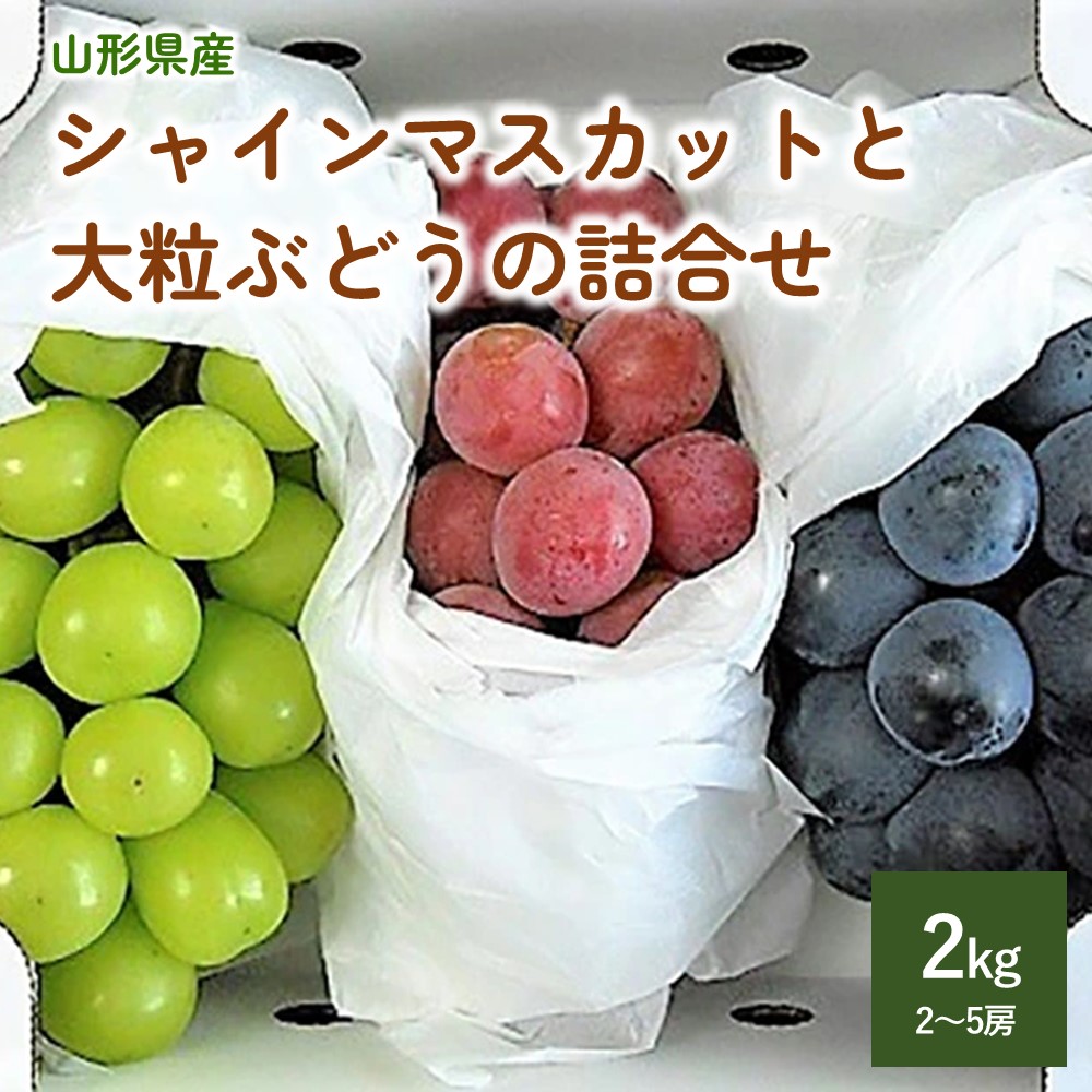 【ふるさと納税】シャインマスカット と 大粒 ぶどう の 詰合せ ( 品種おまかせ ) 秀品 2kg フルーツ 果物 お取り寄せ 送料無料 山形県 上山市 0017-2510