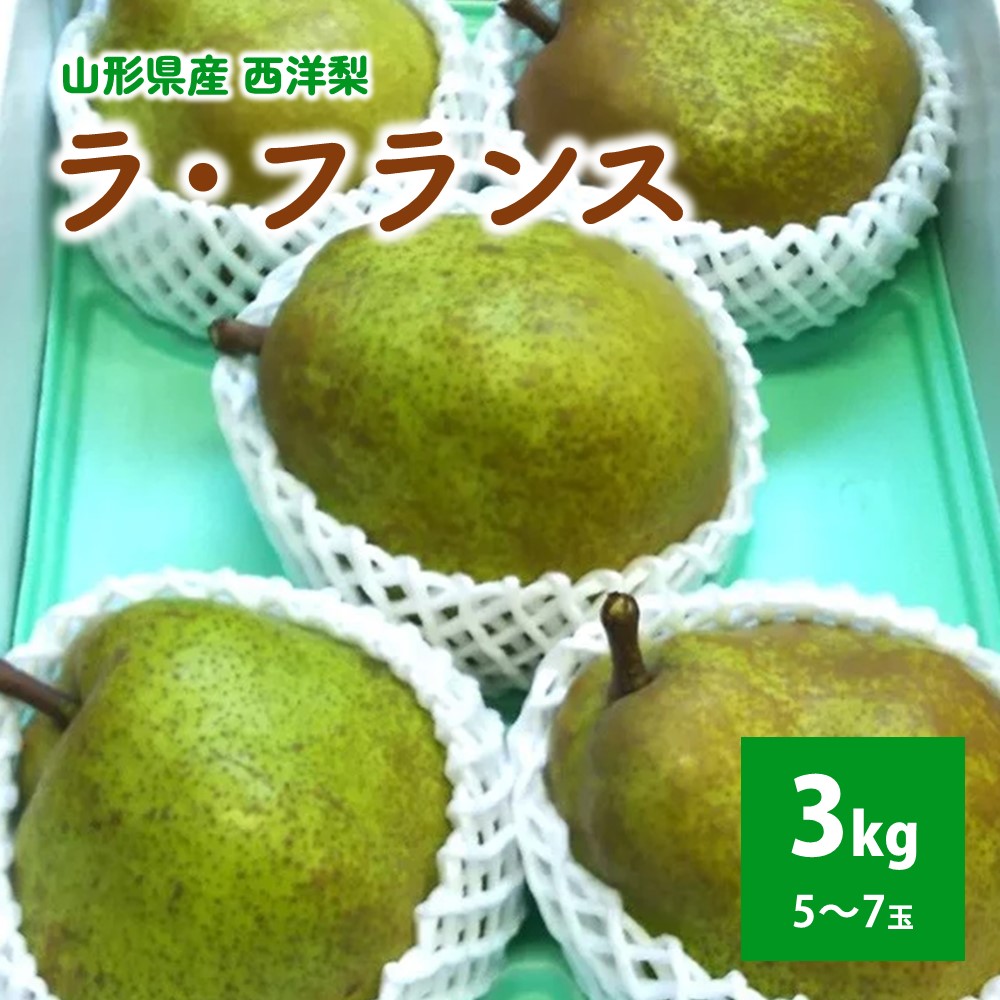 【ふるさと納税】 西洋梨 ( ラ・フランス ) 3kg 大玉 フルーツ 果物 お取り寄せ 送料無料 山形県 上山市 0017-2518