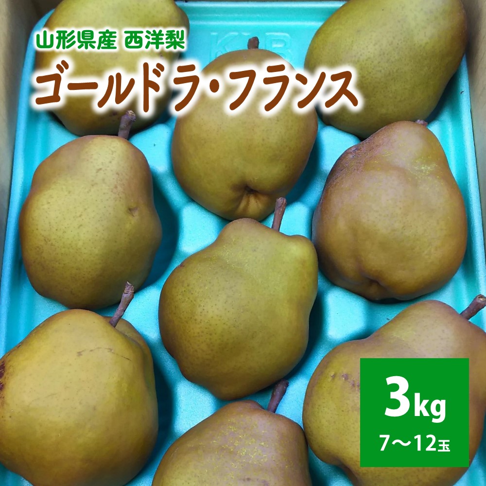 【ふるさと納税】 西洋梨 ( ゴールドラ・フランス ) 3kg ご家庭用 山形県 上山市 0017-2523