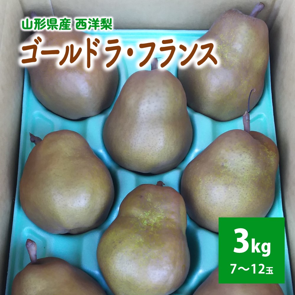 【ふるさと納税】 西洋梨 ( ゴールドラ・フランス ) 3kg フルーツ 果物 お取り寄せ 送料無料 山形県 上山市 0017-2524
