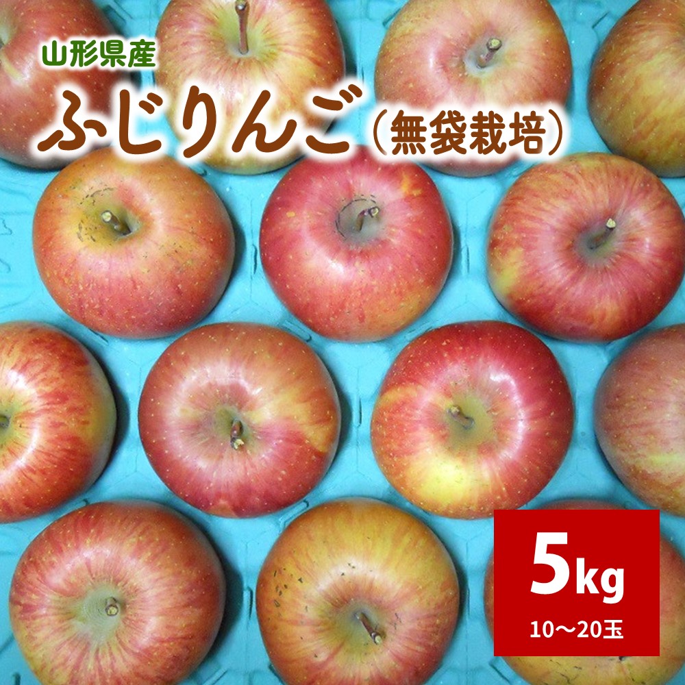 【ふるさと納税】りんご (ふじ) 5kg ご家庭用 無袋栽培 10～20玉 果物 フルーツ お取り寄せ 産地直送 送料無料 山形県 上山市 0017-2526