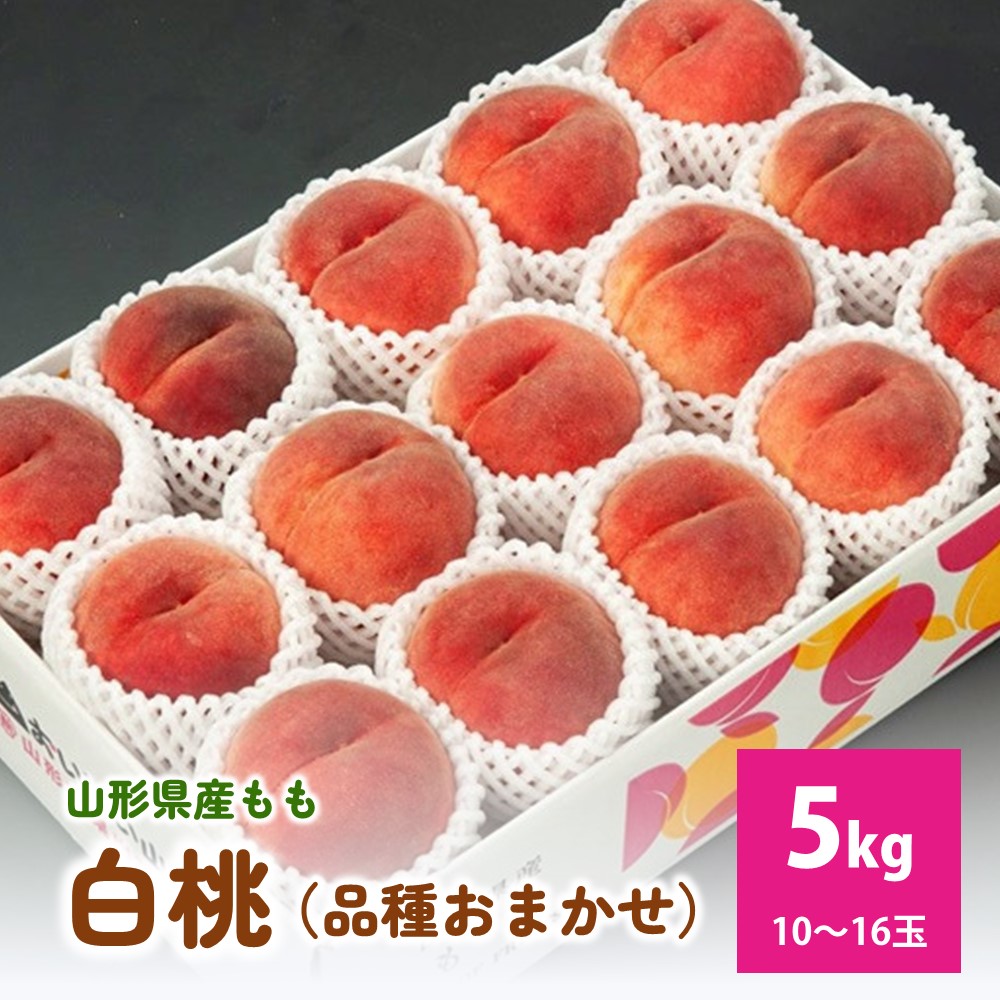 【ふるさと納税】白桃（ 品種 おまかせ ）5kg 秀品 フルーツ 果物 桃 もも 山形 産地直送 お取り寄せ 送料無料  山形県 上山市 0020-2502