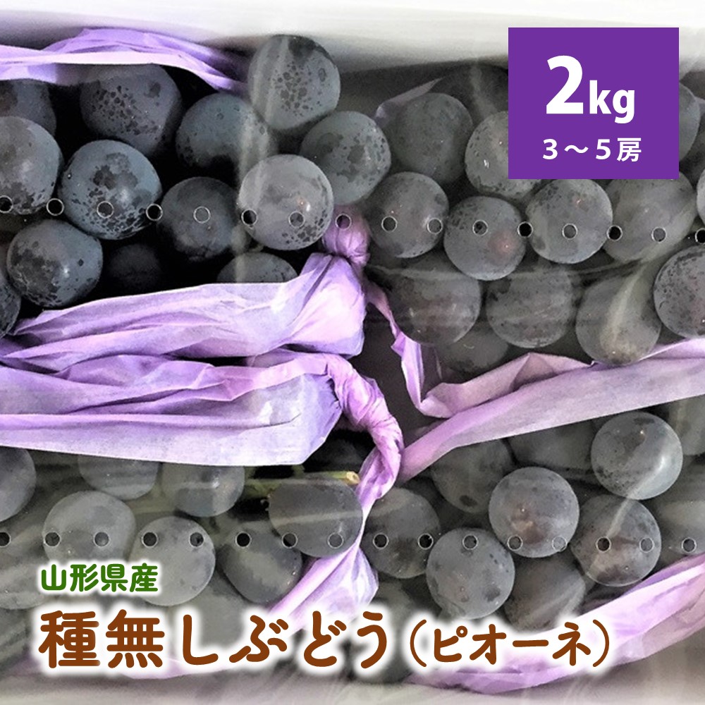 【ふるさと納税】種無しぶどう（ピオーネ）2kg フルーツ 果物 山形県 上山市 0020-2503