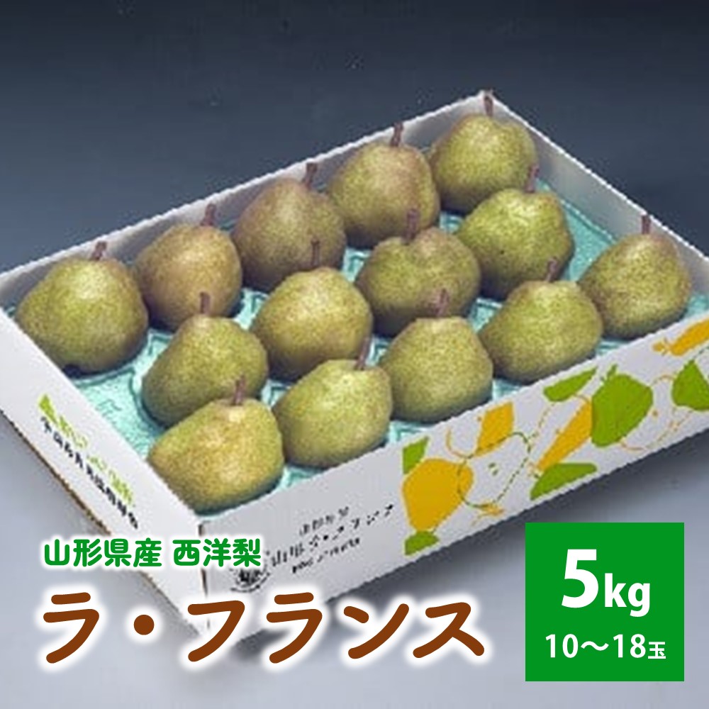 【ふるさと納税】西洋梨 ラ・フランス 5kg フルーツ 果物 梨 山形県 上山市 0020-2513
