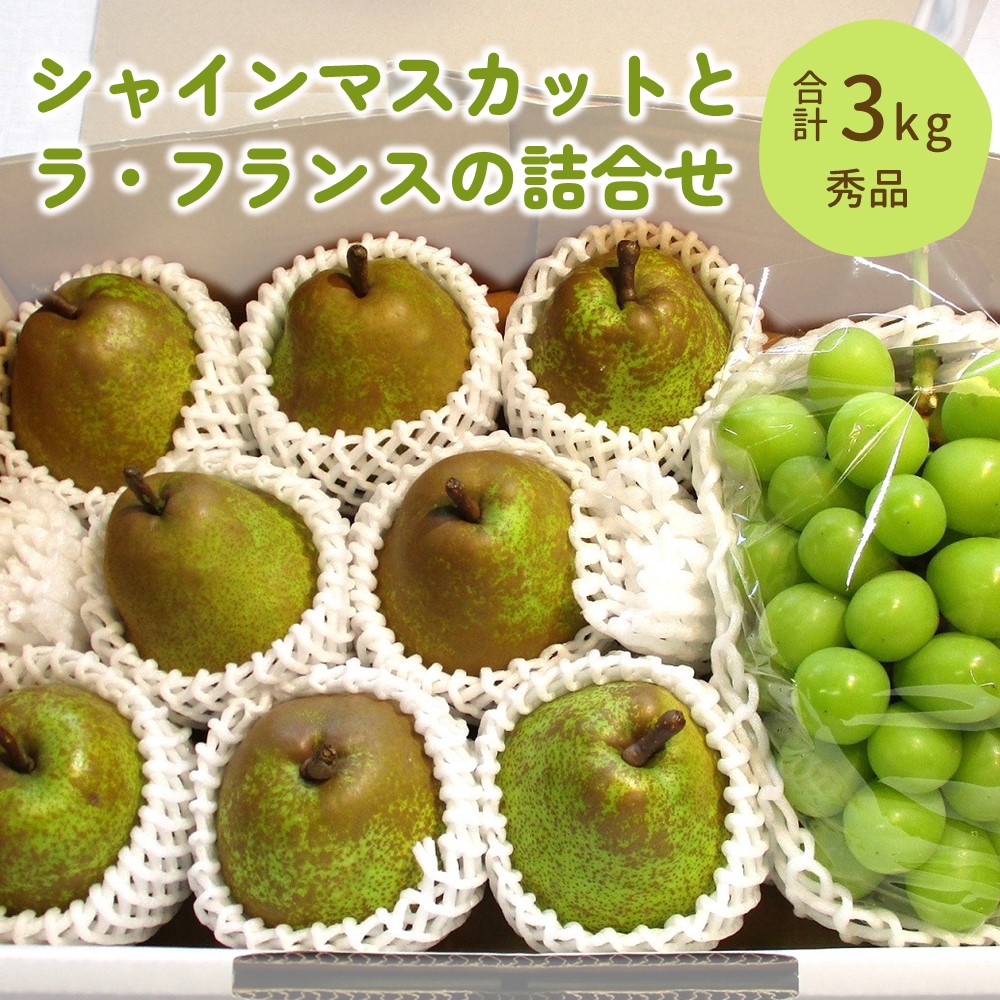 【ふるさと納税】シャインマスカット と ラ・フランス の詰合せ 3kg 果物 フルーツ ぶどう ラフランス 洋梨 お取り寄せ 産地直送 送料無料 山形県 上山市 0025-2511