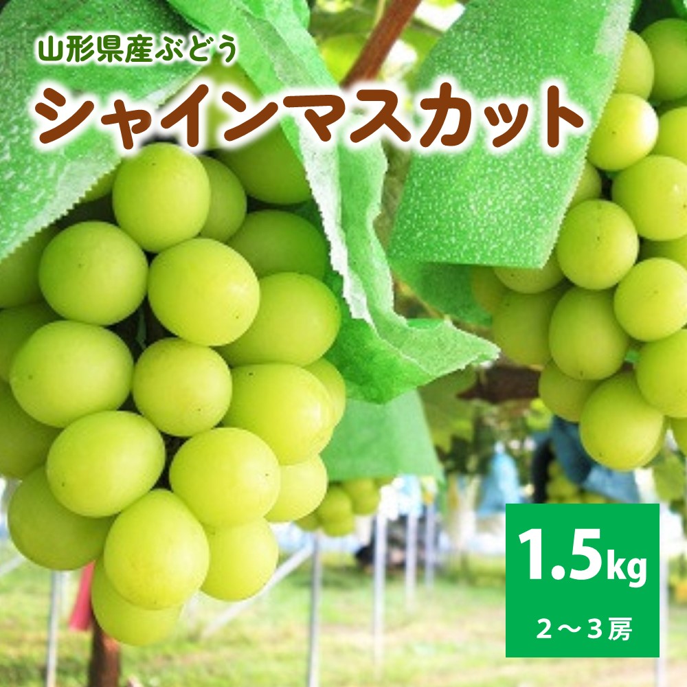 【ふるさと納税】ぶどう（シャインマスカット）1.5kg ご家庭用 山形県 上山市 0025-2510