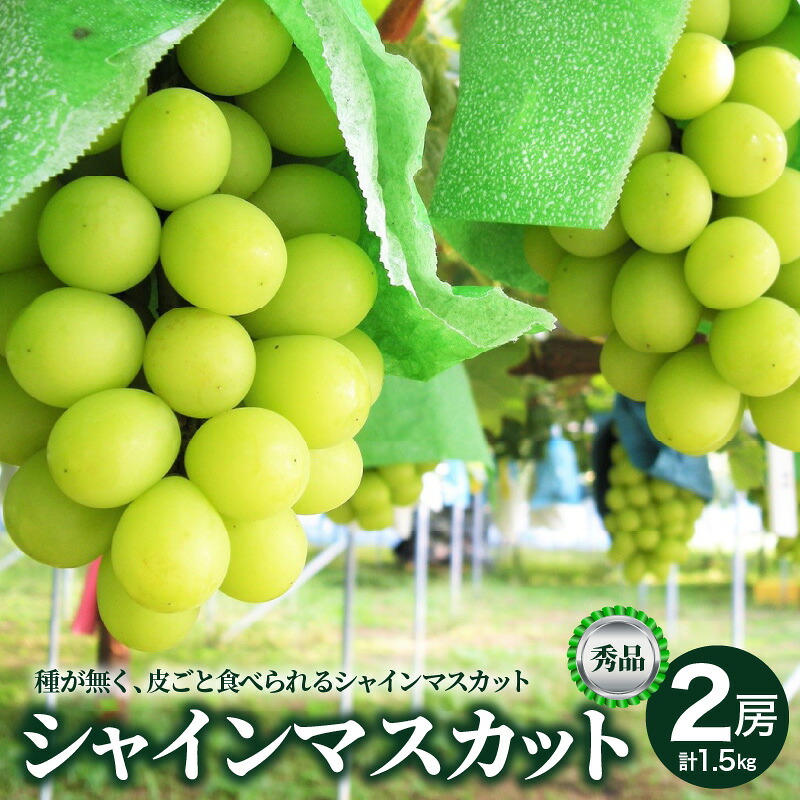 【ふるさと納税】 ぶどう シャインマスカット 2房 合計1.5kg以上 秀品 以上 果物 フルーツ お取り寄せ 産地直送 送料無料 山形県 上山市 0025-2611