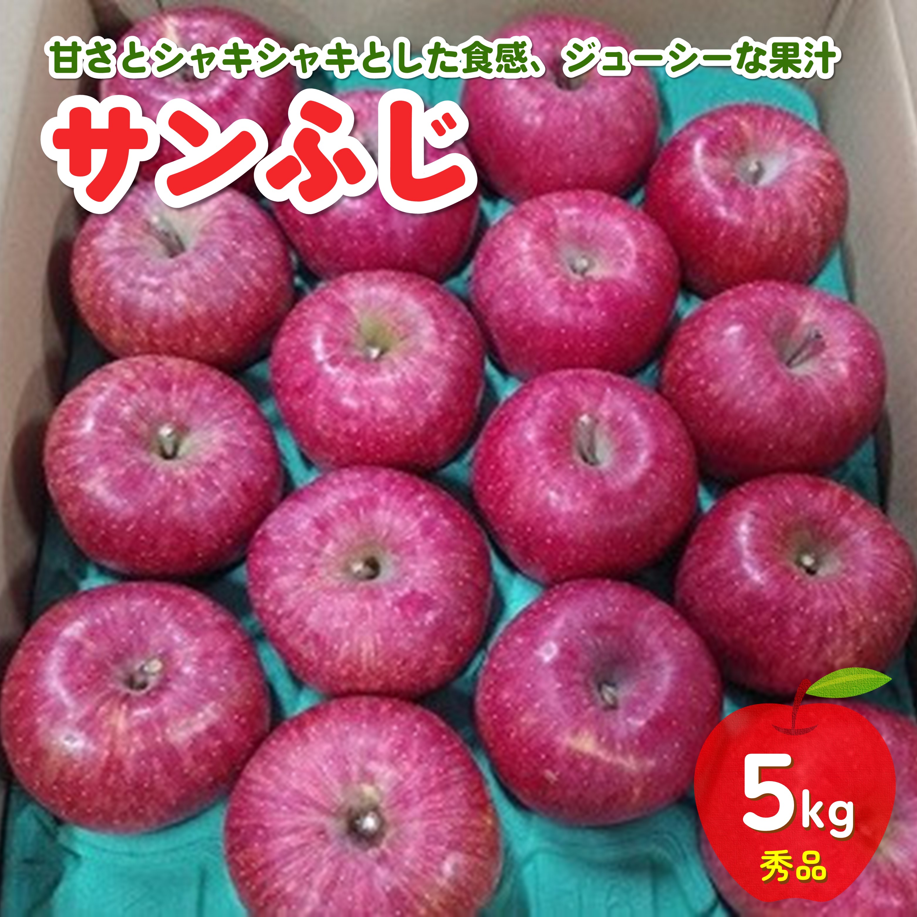 【ふるさと納税】 りんご ( サンふじ ) 5kg 16~25玉 秀品 フルーツ 果物 リンゴ 山形 産地直送 送料無料 お取り寄せ 山形県 上山市 0030-2512