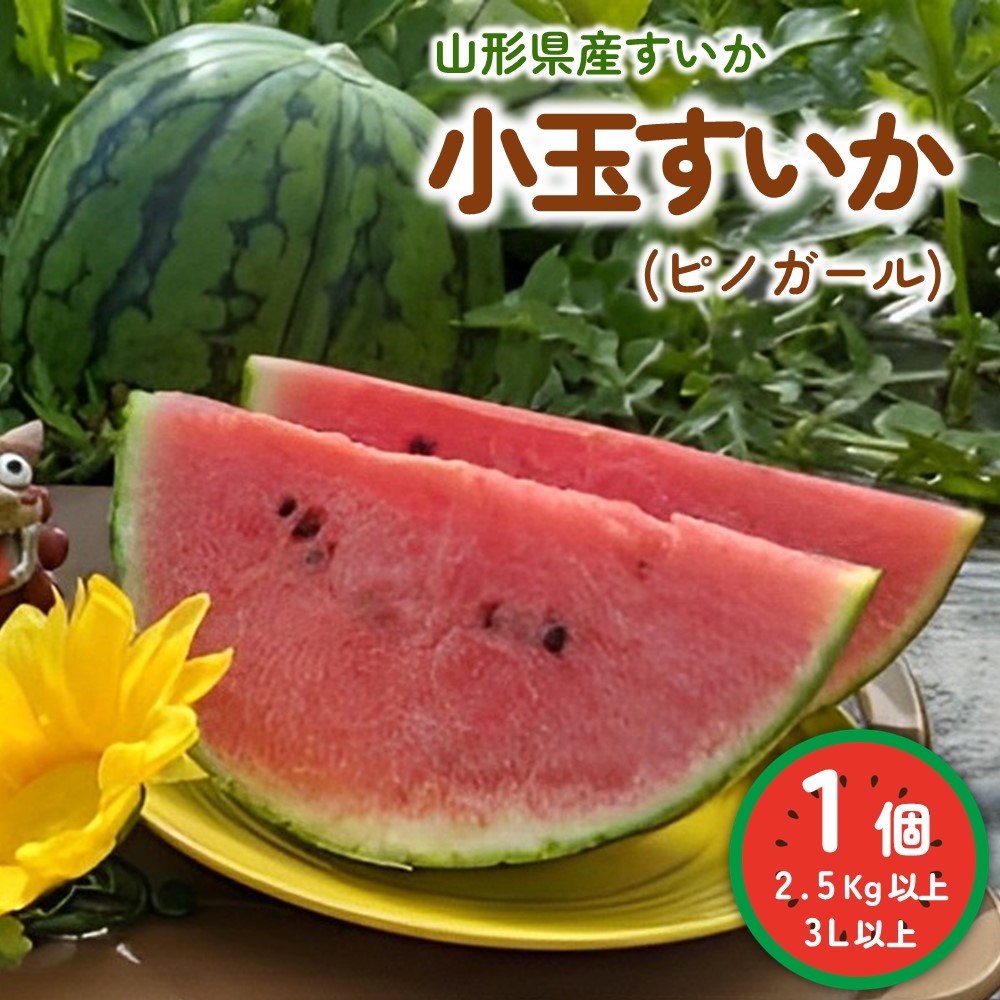 【ふるさと納税】【フルーツ王国直送！】山形の 小玉 すいか ( ピノガール ) 1個 2.5kg 以上 3L サイズ 以上 果物 フルーツ 山形県 上山市 0033-2503