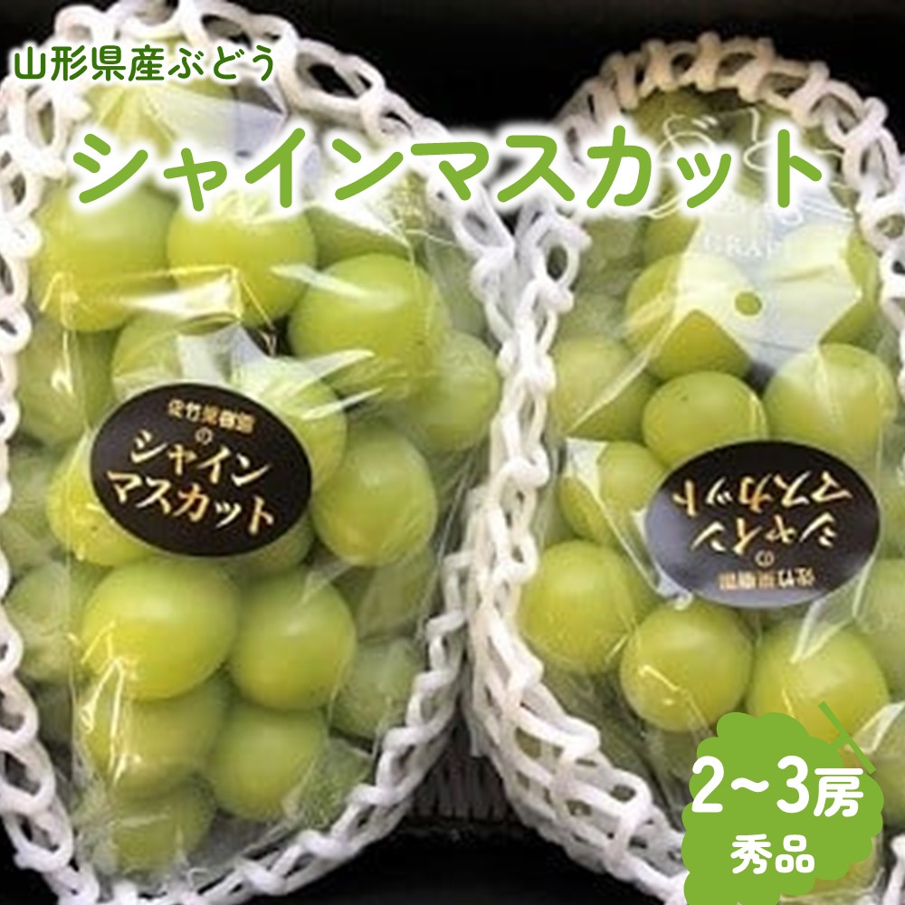 【ふるさと納税】 ぶどう(シャインマスカット）２～３房 化粧箱入り 山形県 上山市 0041-2501