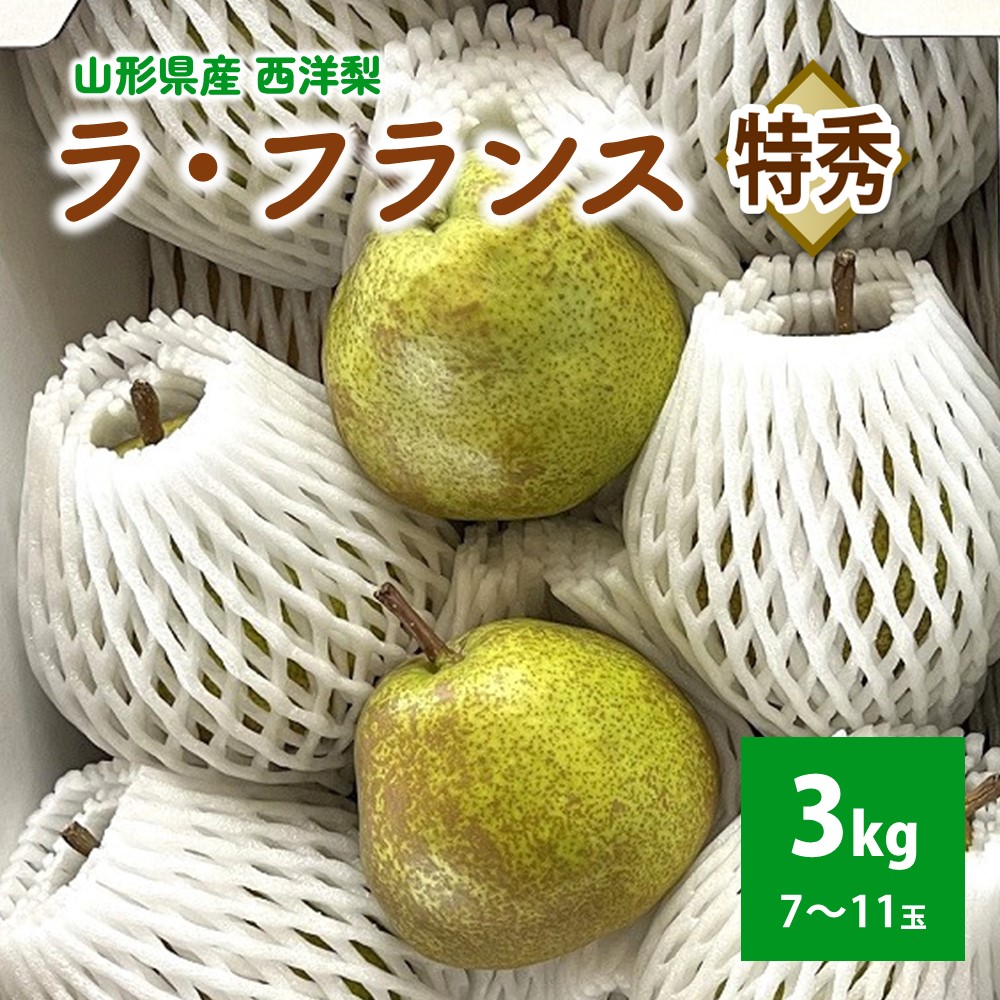 【ふるさと納税】 西洋梨 （ ラ・フランス ） 3kg 贈答用 山形県 上山市 0041-2503