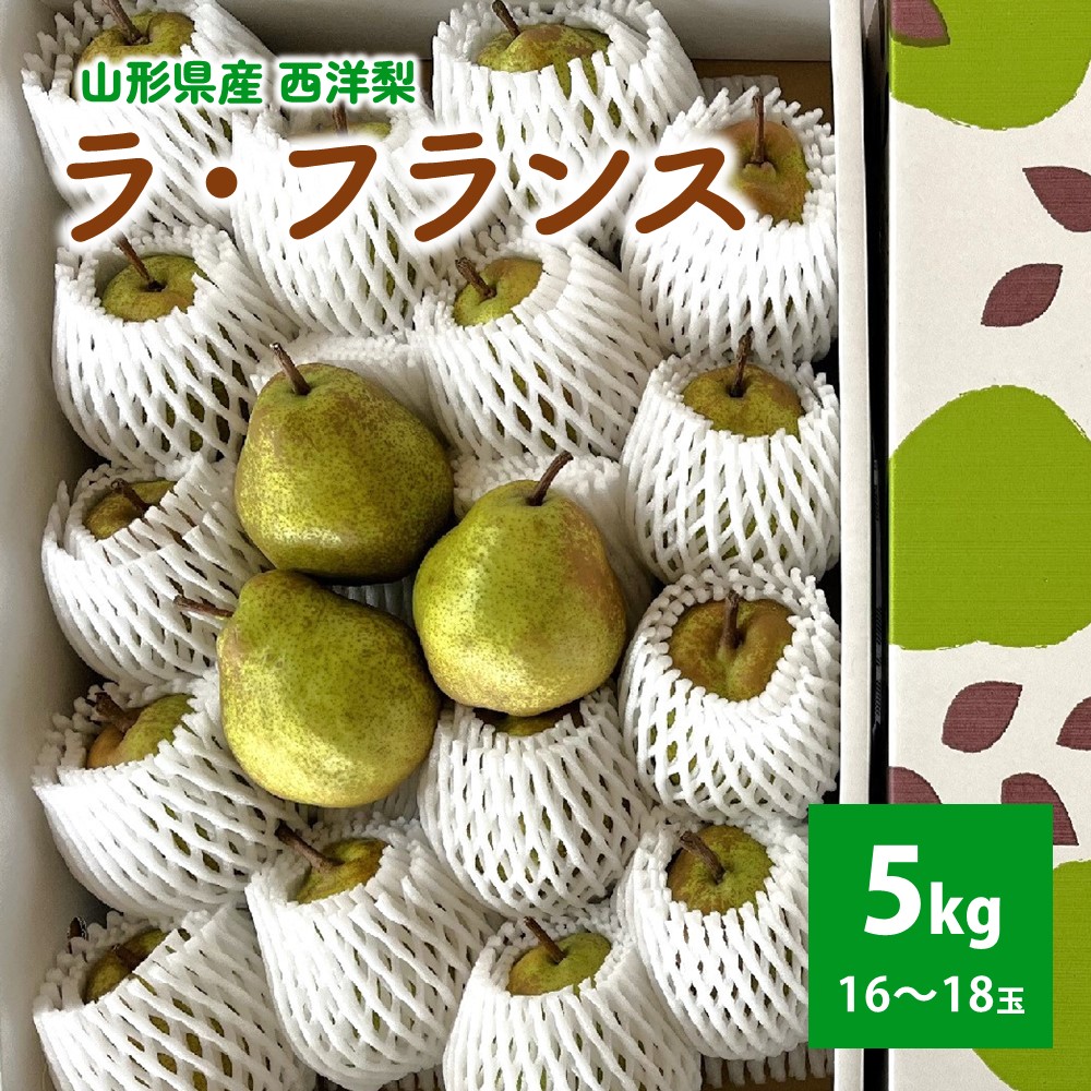 【ふるさと納税】 西洋梨 （ ラ・フランス ） 5kg ラフランス 山形県 上山市 0041-2504