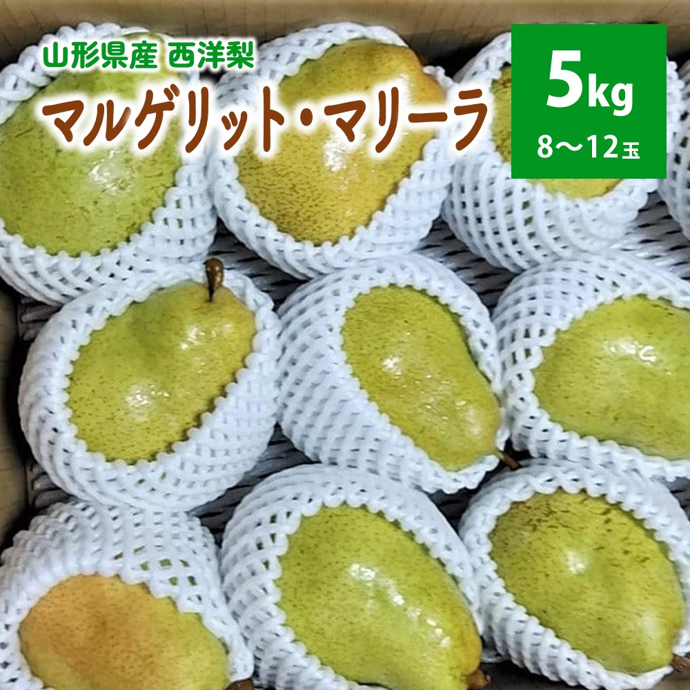 【ふるさと納税】西洋梨（マルゲリット・マリーラ）5kg 8～12玉 ご家庭用 フルーツ 果物 山形県 上山市 0042-2501