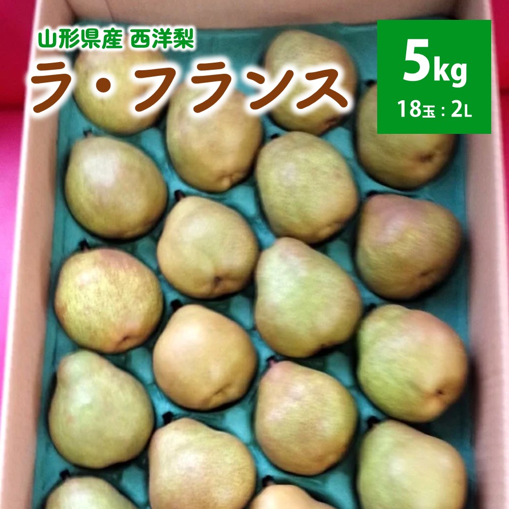 【ふるさと納税】西洋梨 （ラ・フランス） 5kg 18玉 ご家庭用 果物 フルーツ 洋なし 山形 産地直送 お取り寄せ 送料無料 山形県 上山市 0042-2506