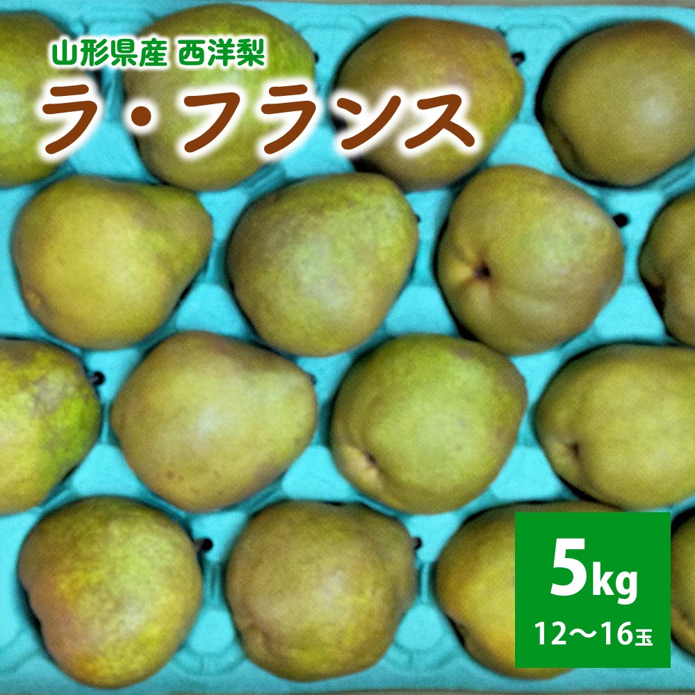 【ふるさと納税】西洋梨 (ラ・フランス) 5kg 12玉～16玉 ご家庭用 果物 フルーツ 山形 洋なし 産地直送 お取り寄せ 送料無料 山形県 上山市 0042-2507
