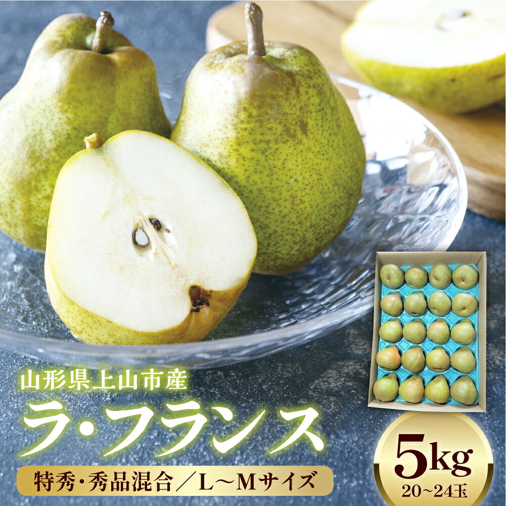【ふるさと納税】ラ・フランス 5kg 20～24玉 特秀・秀品 混合 洋梨 平棚 無袋栽培 お取り寄せグルメ 山形県 上山市 0042-2610