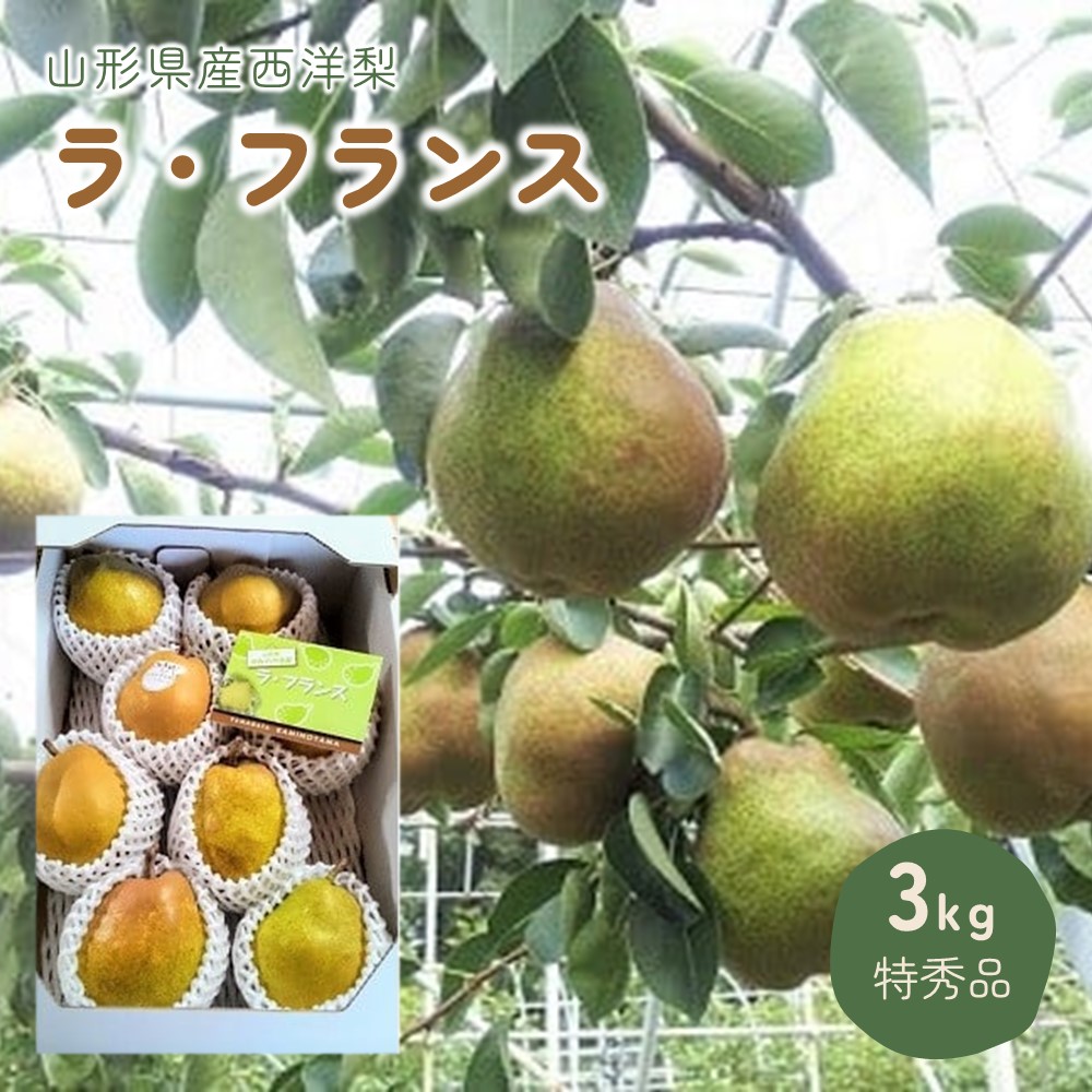 【ふるさと納税】 西洋梨 (ラ・フランス) 3kg 特秀品 フルーツ 山形県 上山市 0044-2505