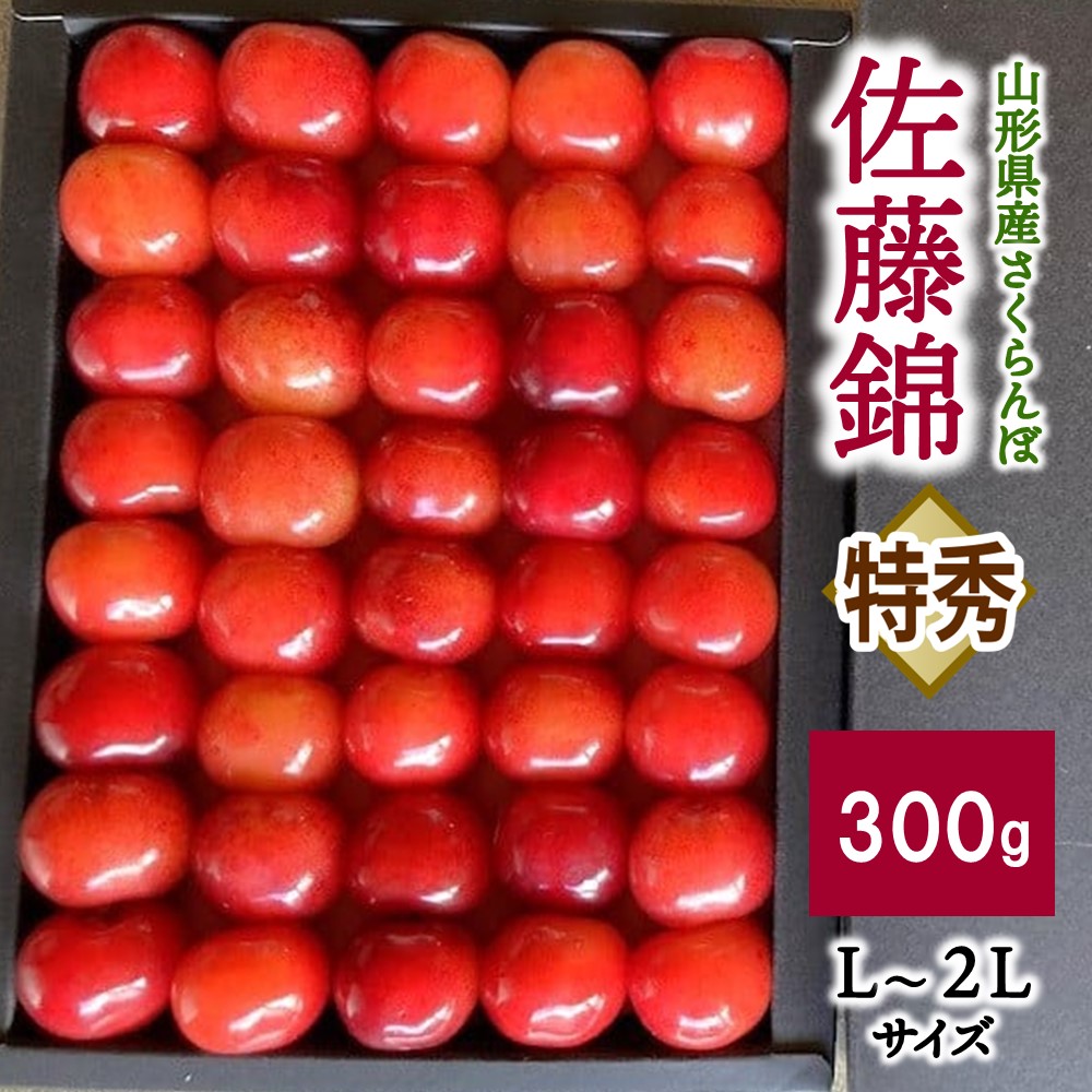 【ふるさと納税】さくらんぼ 佐藤錦 300g お化粧詰め 特秀品 化粧箱入 農家直送 フルーツ 果物 お取り寄せグルメ 冷蔵配送 贈答 ギフト プレゼント 東北 山形県 上山市 0044-2503
