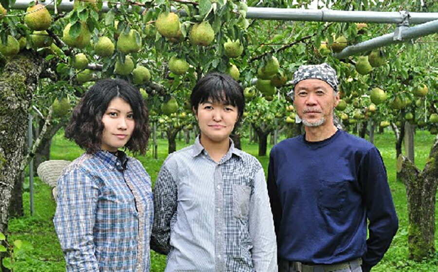 市場 ふるさと納税 6kg フランス ラフランス 2L〜6Lサイズ ご家庭用 3kg×2箱 ラ 西洋梨