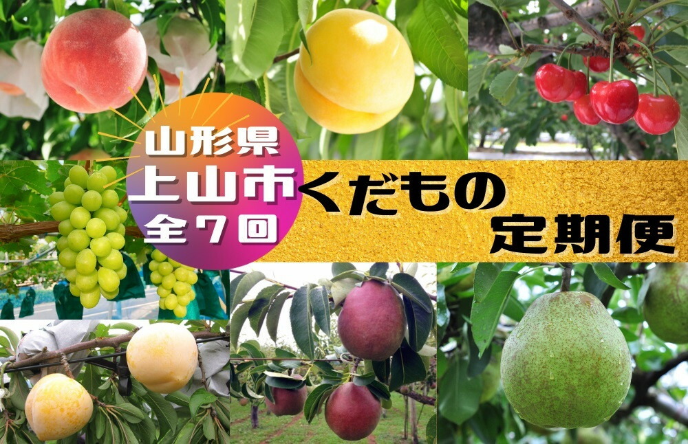【ふるさと納税】【定期便：全7回】くだもの定期便 / さくらんぼ 桃 すもも 西洋梨 ぶどう フルーツ 果物 山形県 上山市 0047-2513
