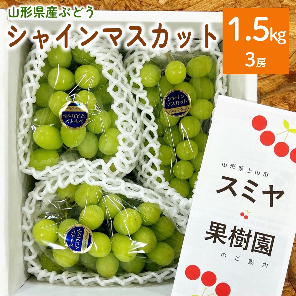 【ふるさと納税】ぶどう (シャインマスカット) 1.5kg (房小さめ)  規格外 果物 フルーツ 種なし お取り寄せ 産地直送 送料無料 山形県 上山市 0047-2509