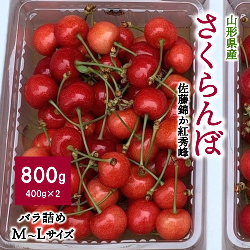 【ふるさと納税】さくらんぼ（佐藤錦か紅秀峰）400g×2パック ご家庭用 フルーツ 山形県 上山市 0049-2505