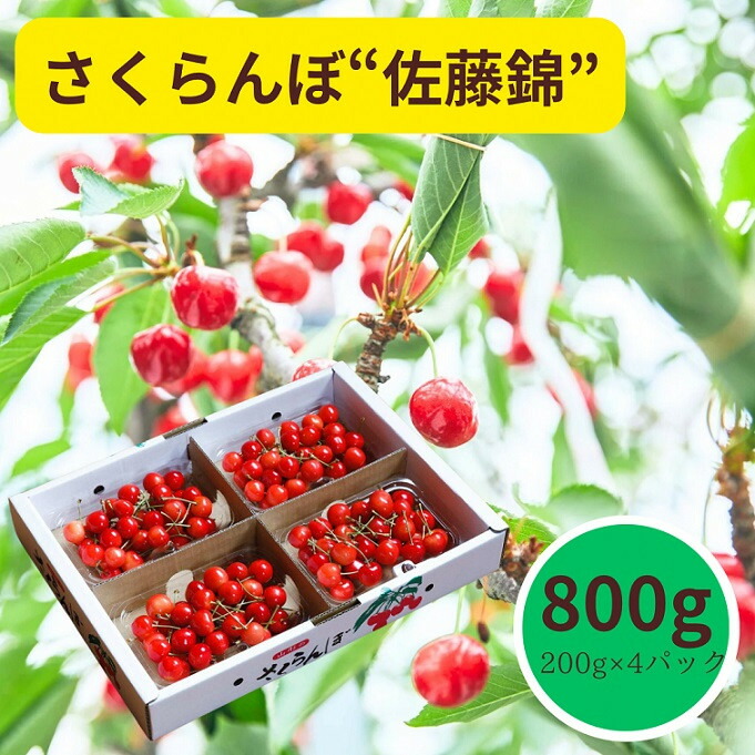 【ふるさと納税】さくらんぼ（ 佐藤錦 ）800g ご家庭用 Mサイズ 以上 200g × 4パック フルーツ 果物 山形 産地直送 お取り寄せ 送料無料  山形県 上山市 0055-2501