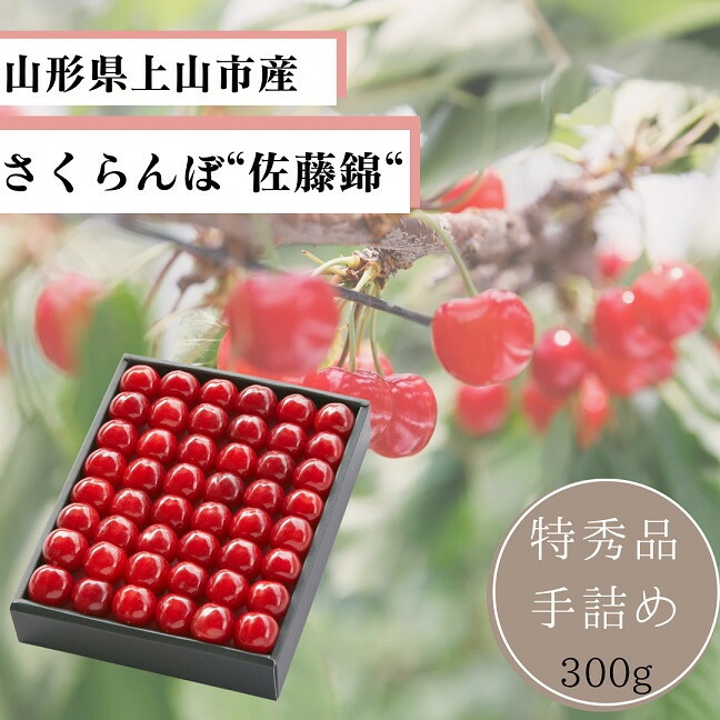 【ふるさと納税】さくらんぼ  ( 佐藤錦 )  300g 手詰め 特秀品 L～2L サイズ フルーツ 果物 山形 産地直送 お取り寄せ 送料無料  山形県 上山市 0055-2502