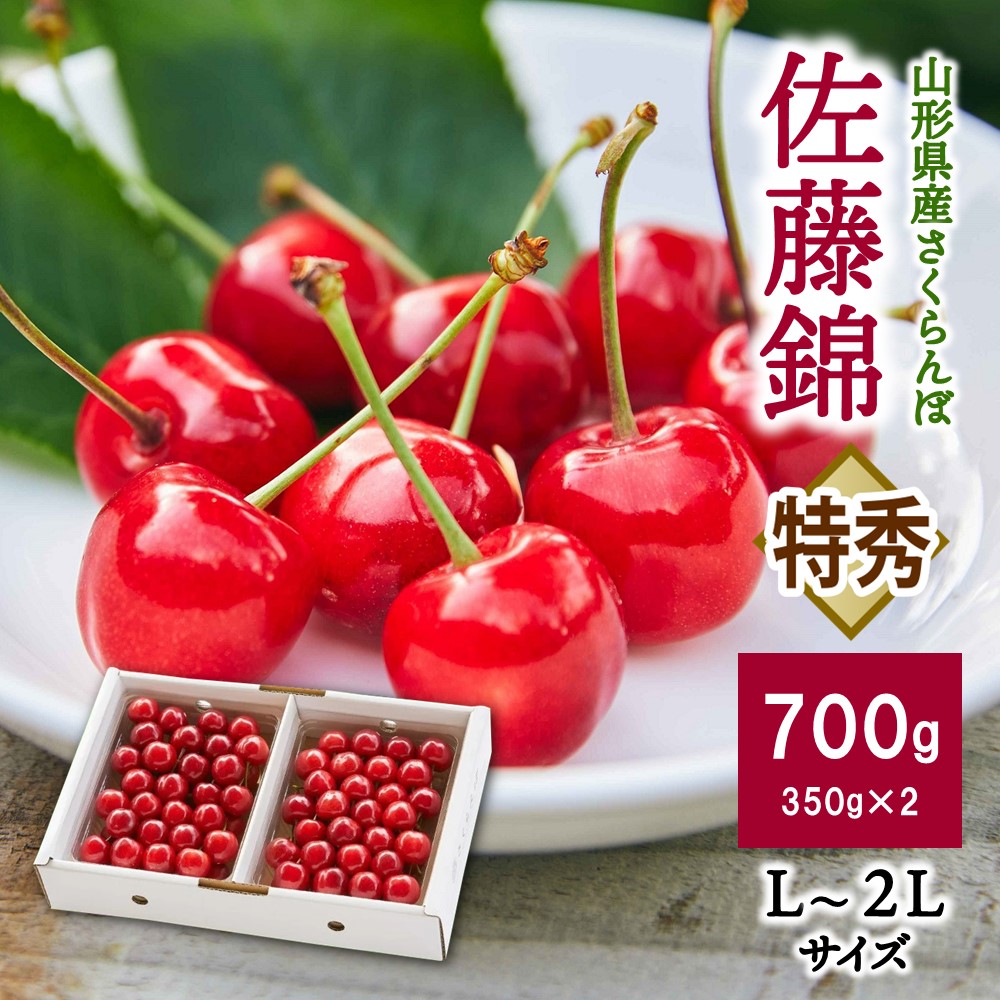 【ふるさと納税】さくらんぼ（佐藤錦）700g 特秀品 フルーツ 山形県 上山市 0055-2503