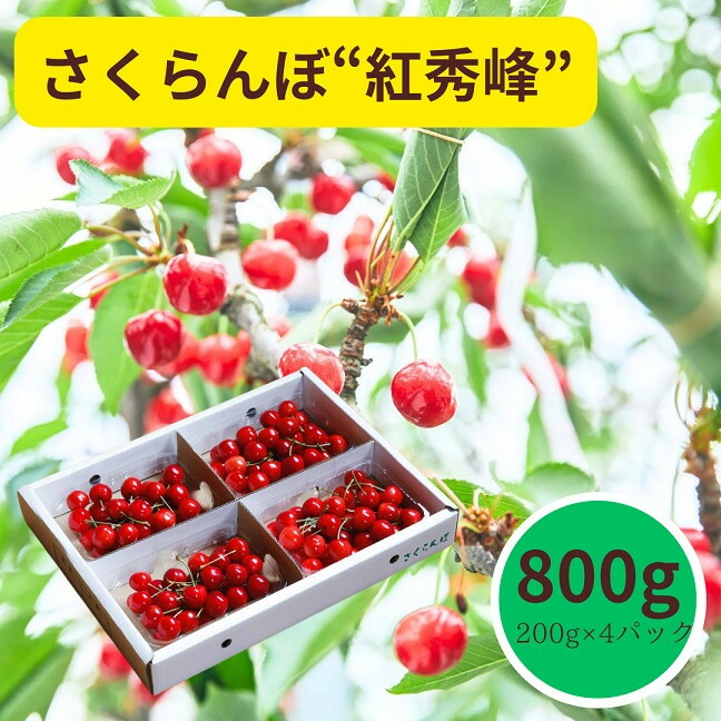 【ふるさと納税】さくらんぼ 紅秀峰 800g (200g × 4パック) L サイズ以上 フルーツ 果物 山形 産地直送 お取り寄せ 送料無料 山形県 上山市 0055-2504