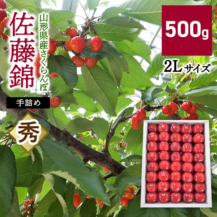 【ふるさと納税】さくらんぼ （ 佐藤錦 ） 500g 2L サイズ 手詰め 山形県 上山市 0056-2508