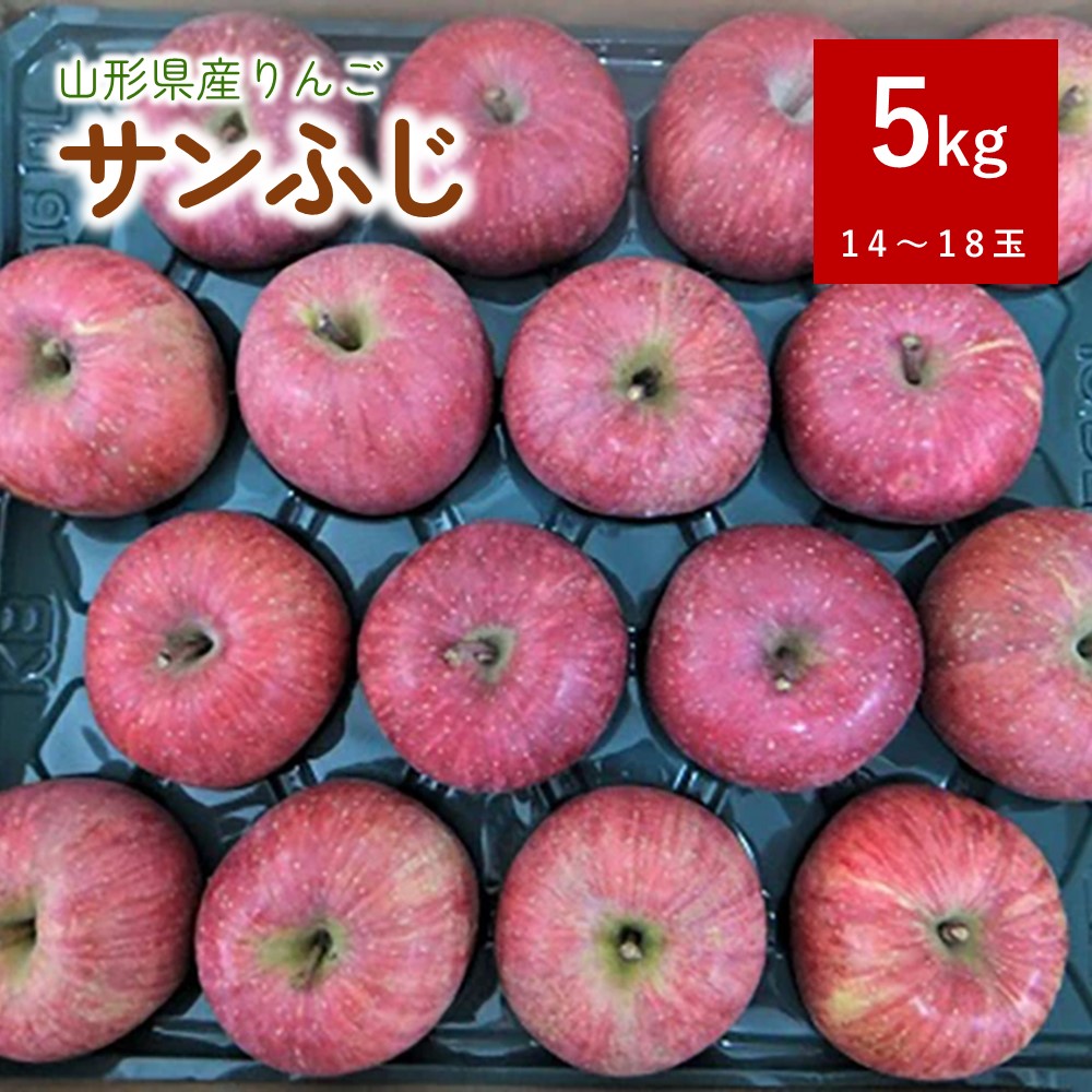 【ふるさと納税】 りんご（サンふじ）5kg 14～18玉 1段詰め 特秀品 果物 フルーツ 山形 産地直送 お取り寄せ 送料無料 山形県 上山市 0056-2522