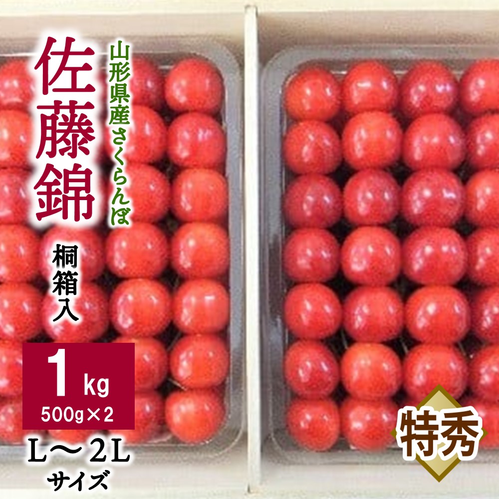 【ふるさと納税】さくらんぼ（ 佐藤錦 ）1kg（ 500g × 2パック ）桐箱入 L ～ 2Lサイズ 特秀品 フルーツ 果物 贈答品 ギフト プレゼント 東北 山形県 上山市 0056-2511