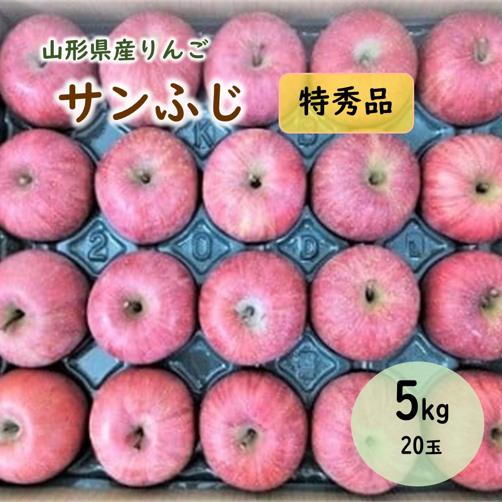 【ふるさと納税】りんご（サンふじ）5kg 20玉 特秀品 1段詰め 果物 フルーツ 山形 産地直送 お取り寄せ 送料無料 山形県 上山市 0056-2521