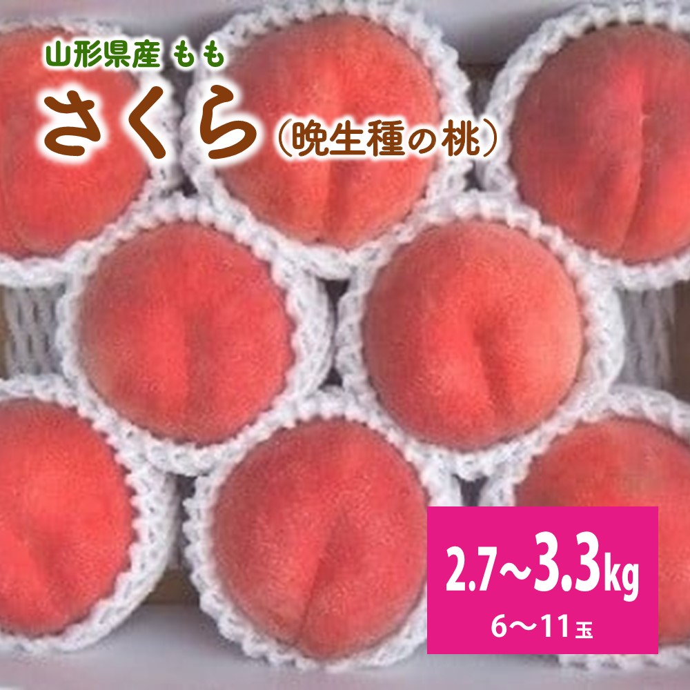 【ふるさと納税】 桃 ( さくら ) 6~11玉【 3kg 箱に2.7~3.3kg詰め】秀品 白桃 もも 果物 フルーツ 東北 山形県 上山市 0056-2504