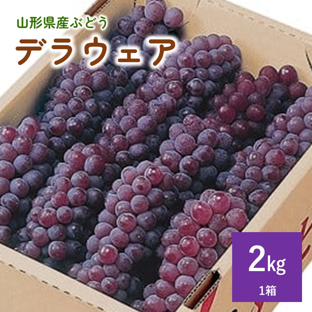 【ふるさと納税】ぶどう ( デラウェア ) 2kg 果物 フルーツ 東北 山形県 上山市 0060-2607 14,440円