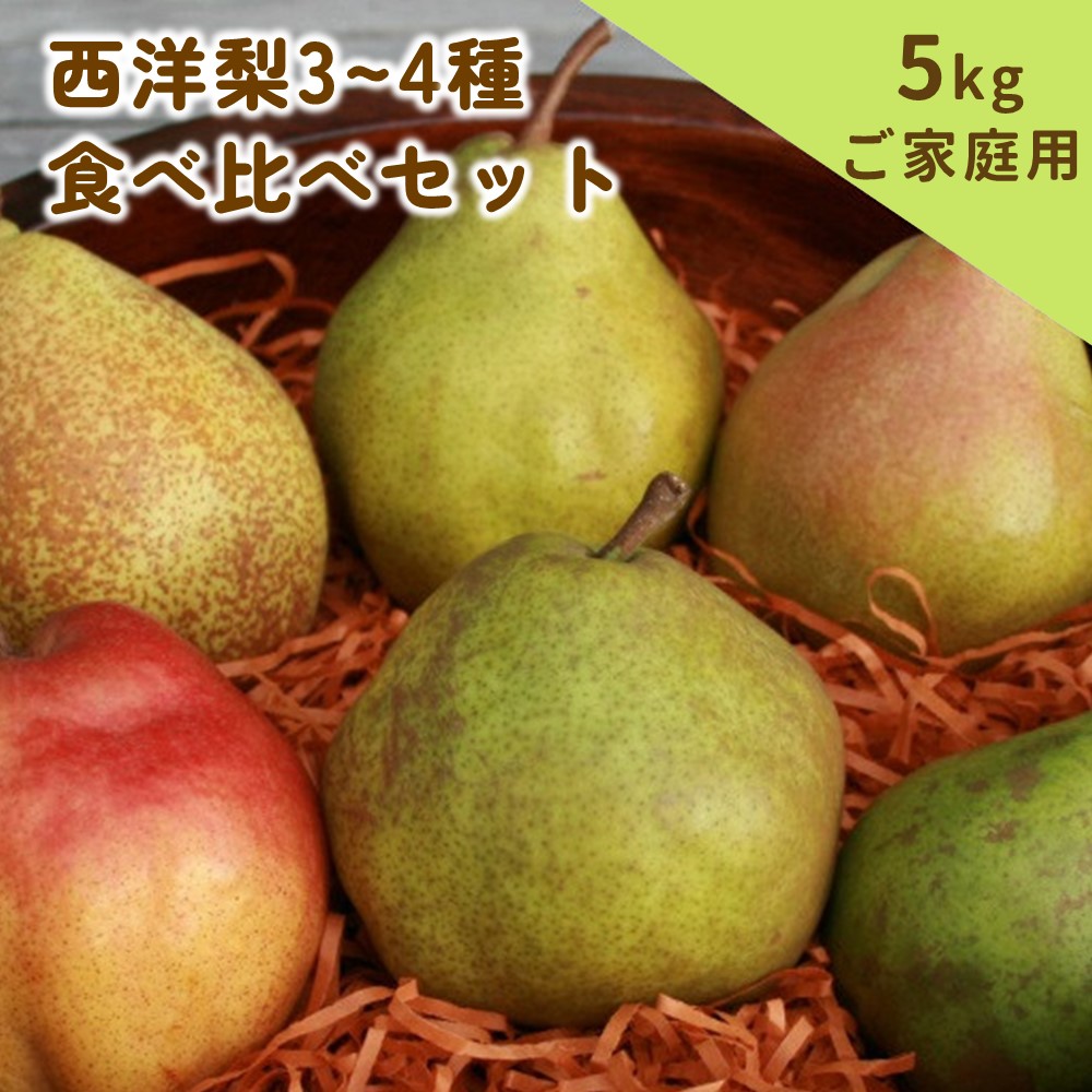 【ふるさと納税】西洋梨 3~4種 食べ比べ セット 5kg ご家庭用 洋なし フルーツ 山形県 上山市 0062-2504