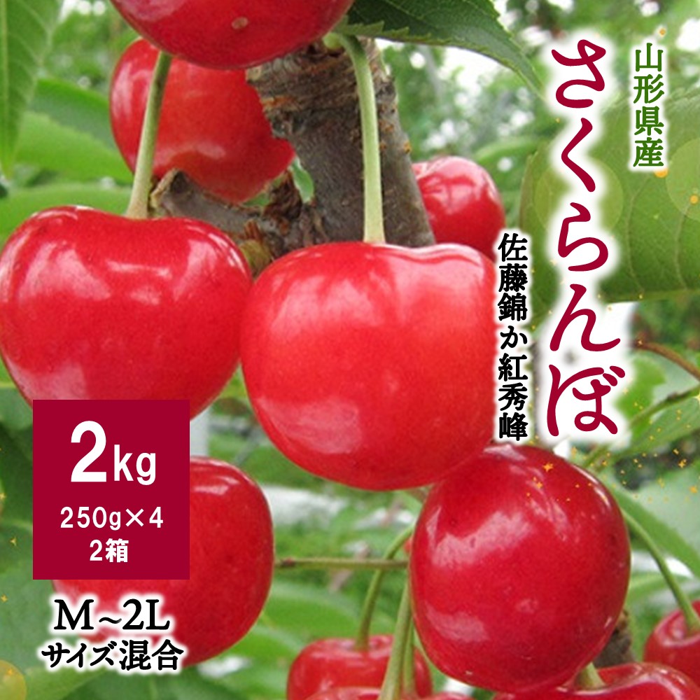 【ふるさと納税】さくらんぼ（佐藤錦か紅秀峰）2kg ご家庭用 果物 フルーツ 山形県 上山市 0062-2502