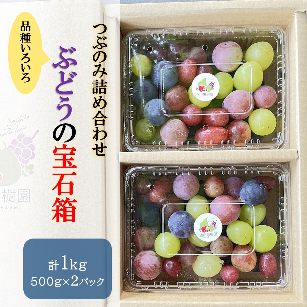 【ふるさと納税】ぶどう の 宝石箱 ( 品種 いろいろ、粒のみ 詰合せ ) 500g × 2パック 果物 フルーツ 産地直送 送料無料 山形県 上山市 0065-2503