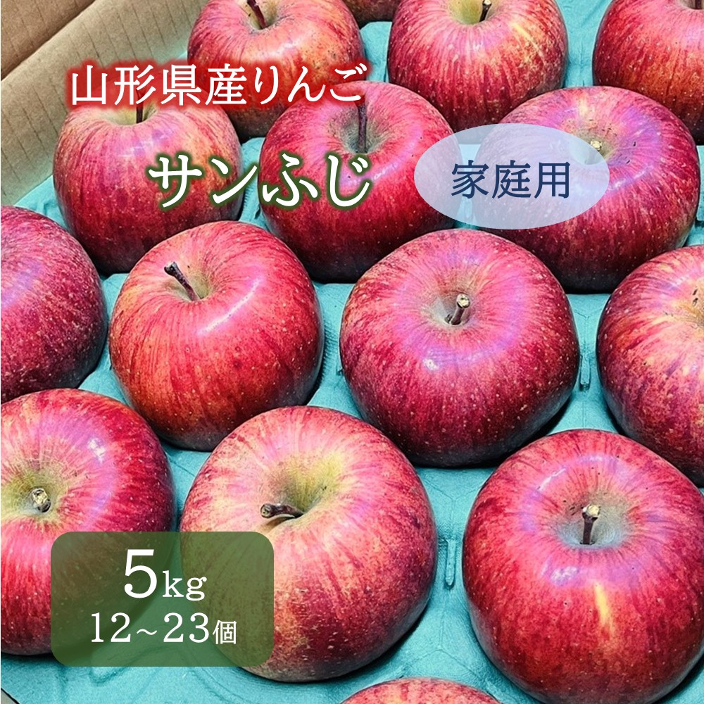 【ふるさと納税】りんご ( サンふじ ) 5kg 12～23個 ご家庭用 果物 フルーツ 産地直送 送料無料 山形県 上山市 0065-2510
