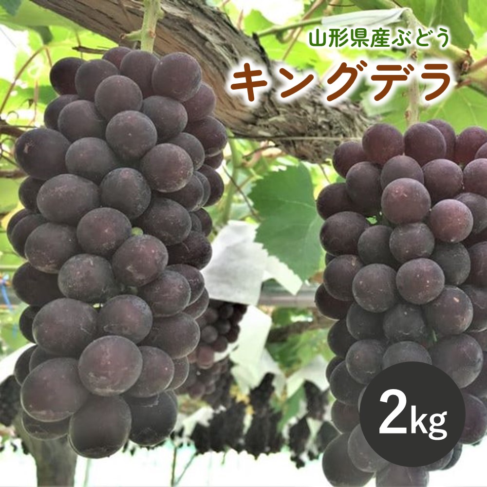 【ふるさと納税】 ぶどう（キングデラ） 2kg フルーツ 山形県 上山市 0066-2503
