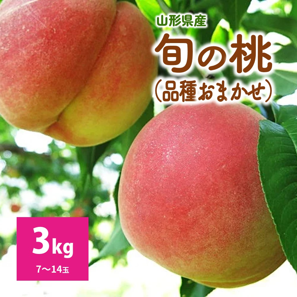 【ふるさと納税】旬の桃 （ 品種おまかせ ） 3kg もも フルーツ 山形県 上山市 0075-2604｜山形県上山市