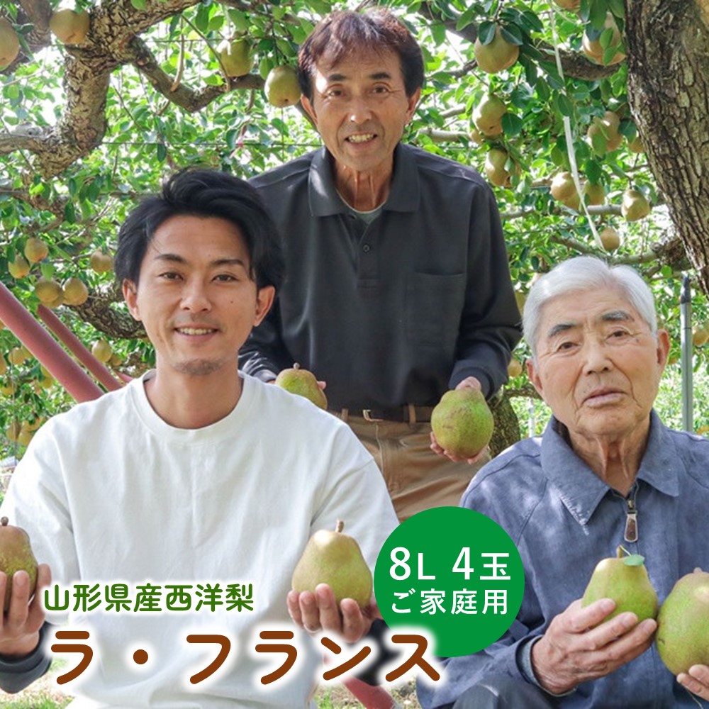 【ふるさと納税】【超 大玉 8L サイズ!!】ラ・フランス 4玉 ご家庭用 山形県 上山市 0078-2509