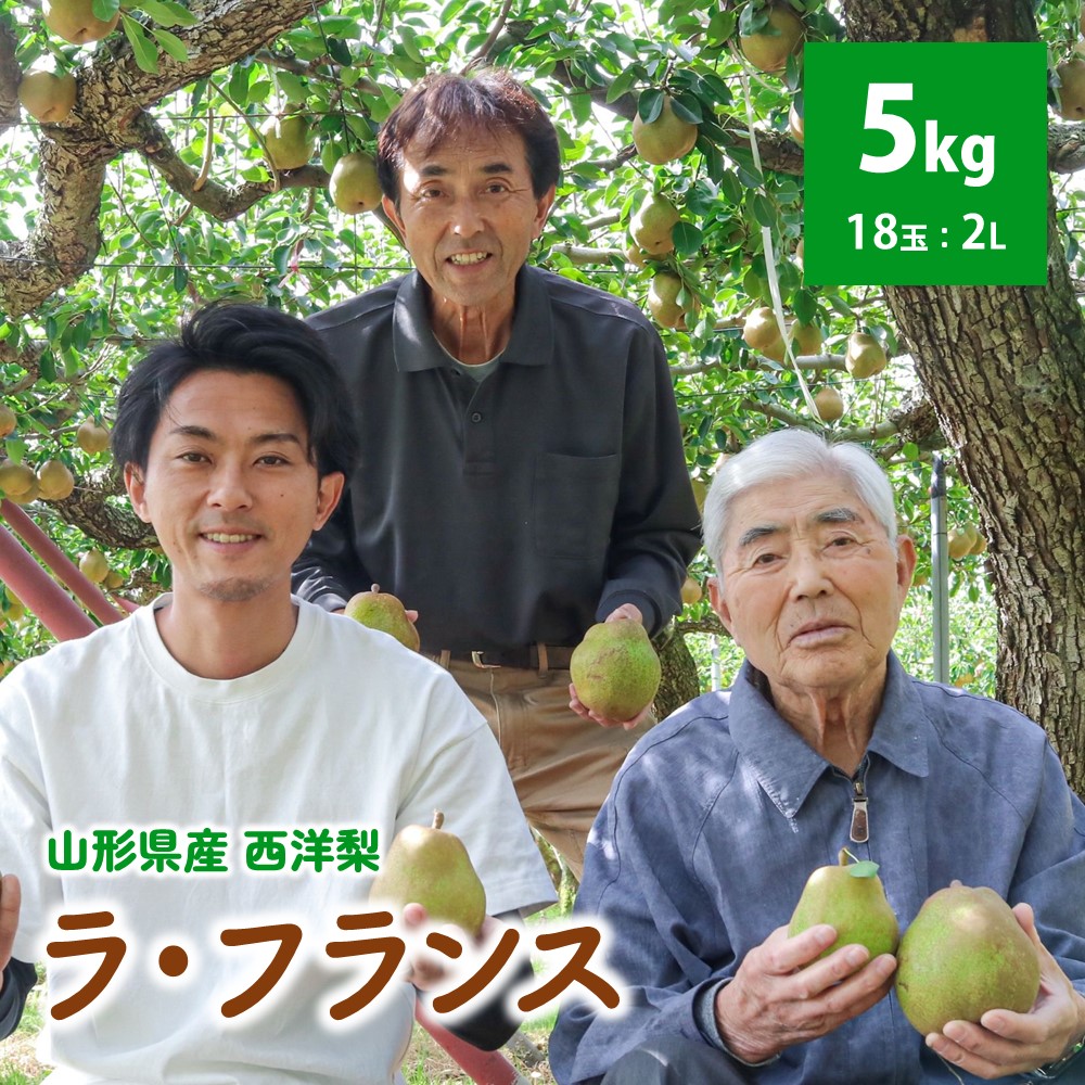 【ふるさと納税】西洋梨 （ラ・フランス） 5kg 2L サイズ 果物 フルーツ 洋なし お取り寄せ 山形 産地直送 送料無料 山形県 上山市 0078-2506