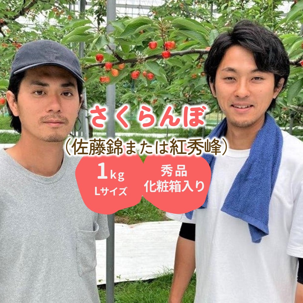 【ふるさと納税】さくらんぼ（ 佐藤錦 または 紅秀峰 ）1kg 秀品 Lサイズ フルーツ 果物 くだもの 山形 産地直送 お取り寄せグルメ 冷蔵配送 送料無料 山形県 上山市 0078-2511